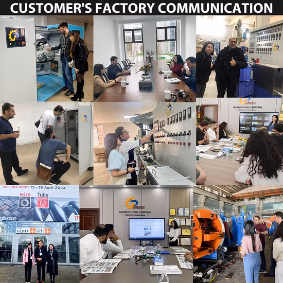 Máquina de trefilado de alambre de cobre fino, 24 troqueles, baja potencia, precio bajo, buena calidad, con piezas importadas